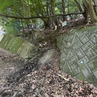 ココから山道