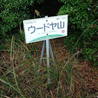 ウードヤ山、面白い名前だなー🤔しかし眺望無し