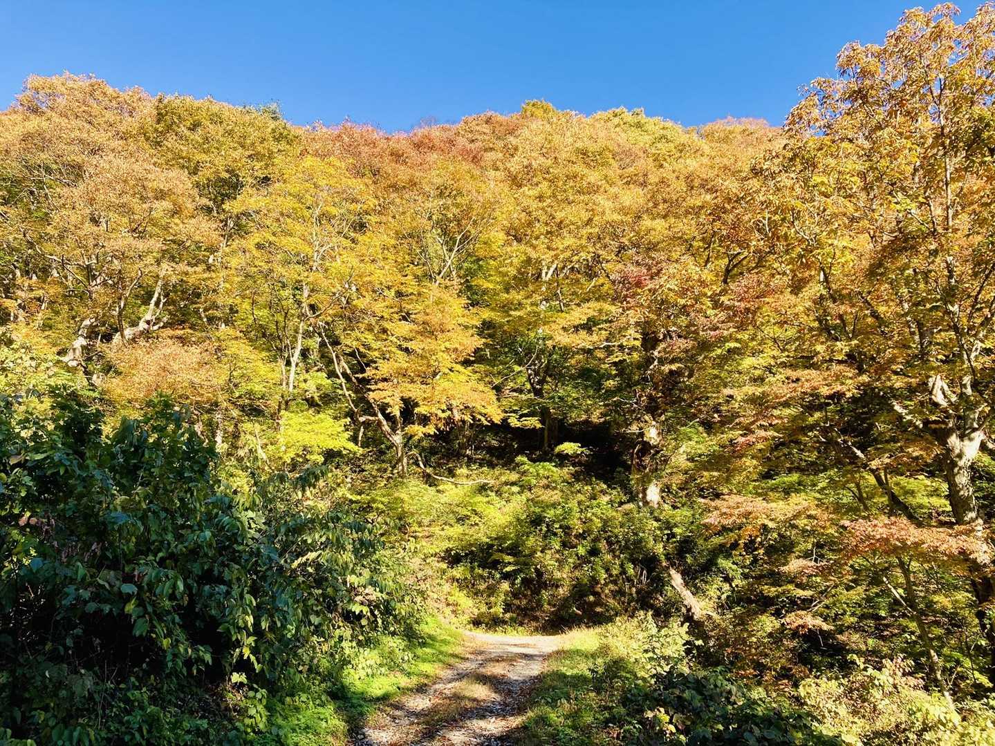 三方崩山 往復コースの写真