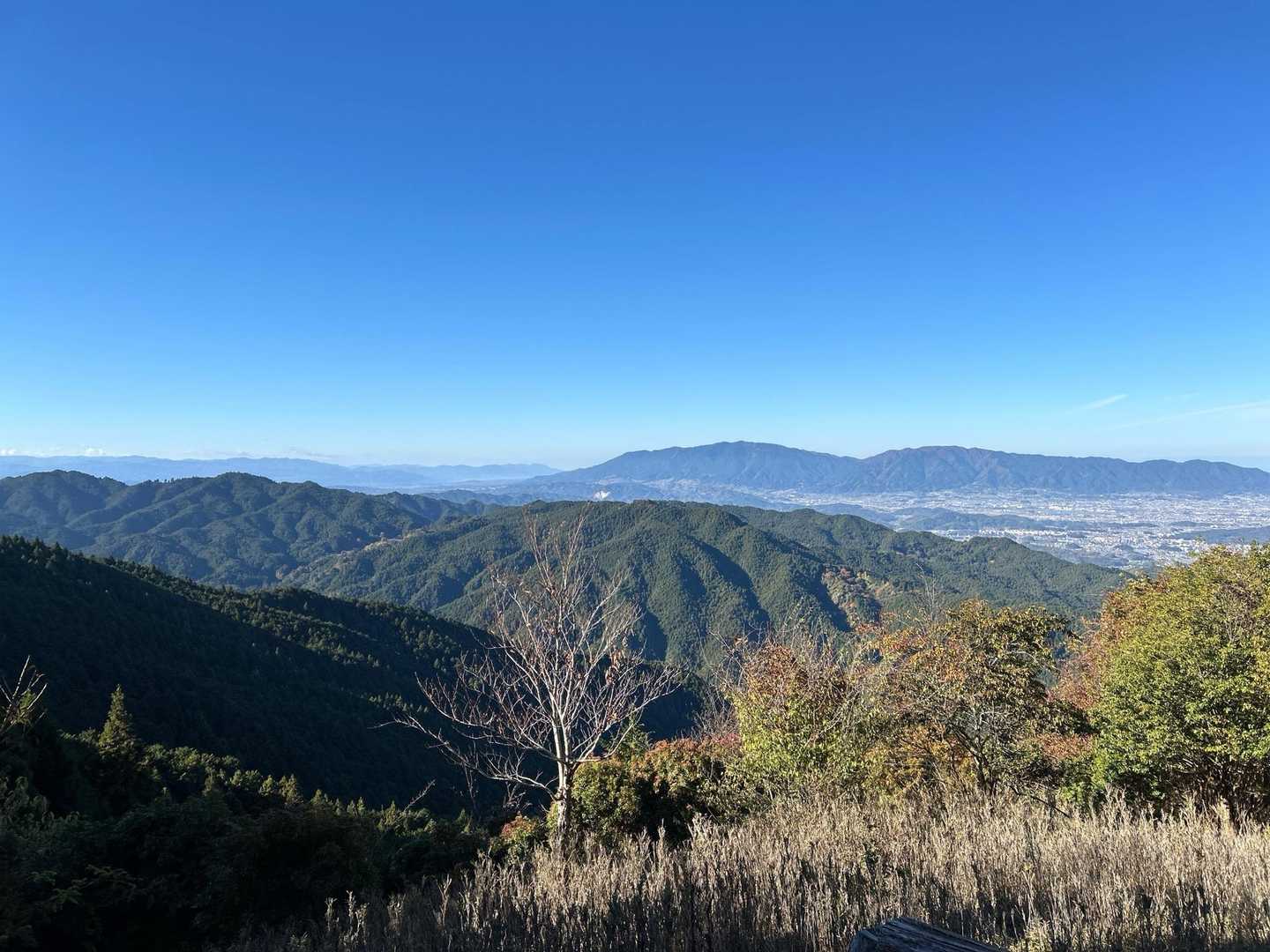 経ヶ塚山-熊ヶ岳-大峠 縦走コースの写真