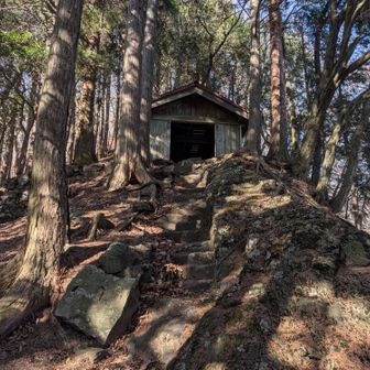 神社にお参りです
