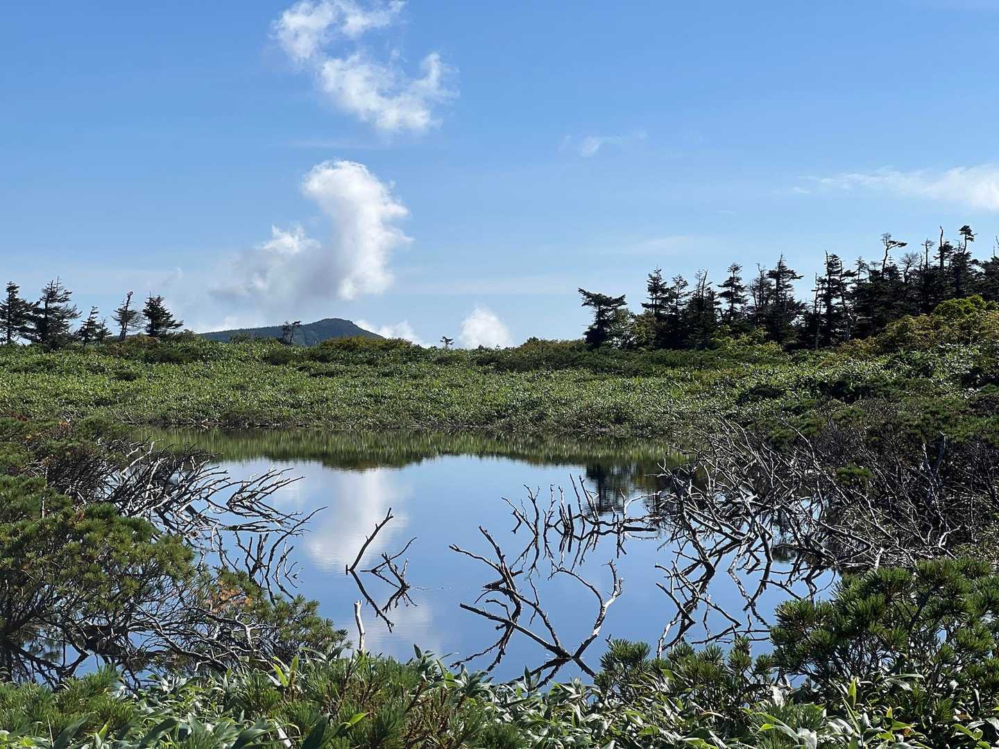 裏岩手連峰登山口-畚岳-諸檜岳-前諸桧-嶮岨森-大深岳-小 縦走コースの写真