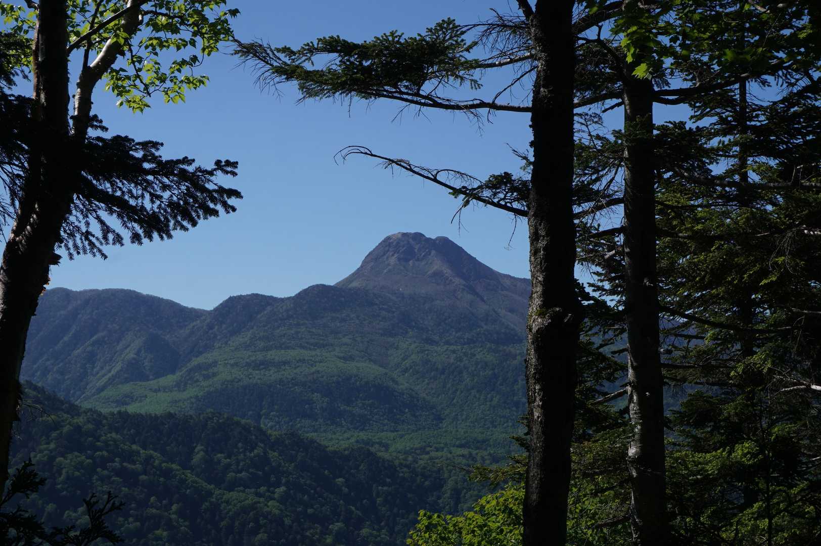 そしてハッキリクッキリ白根山！