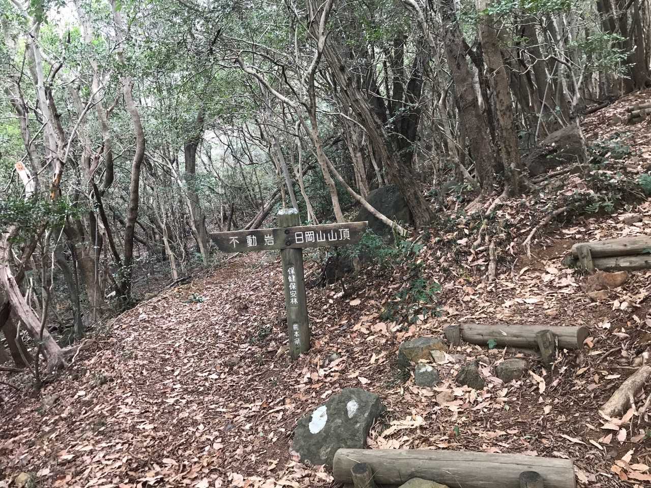 今日は不動岩へ直行