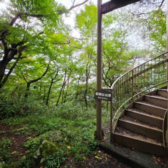そしてすぐ近くに竪破山山頂があります。