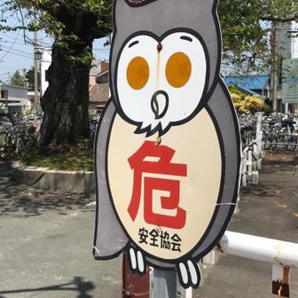 ほんほん