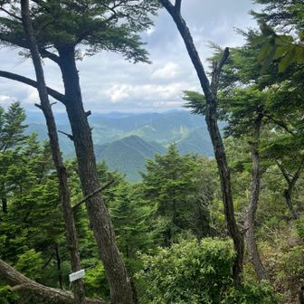 札に三角点って書いてあるけど千丈寺山かな⁉️