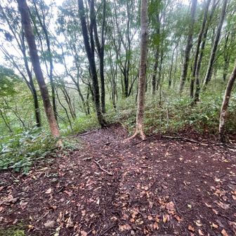 トレランの方はここの分岐からスプリングバレーのゲレンデに向かいます