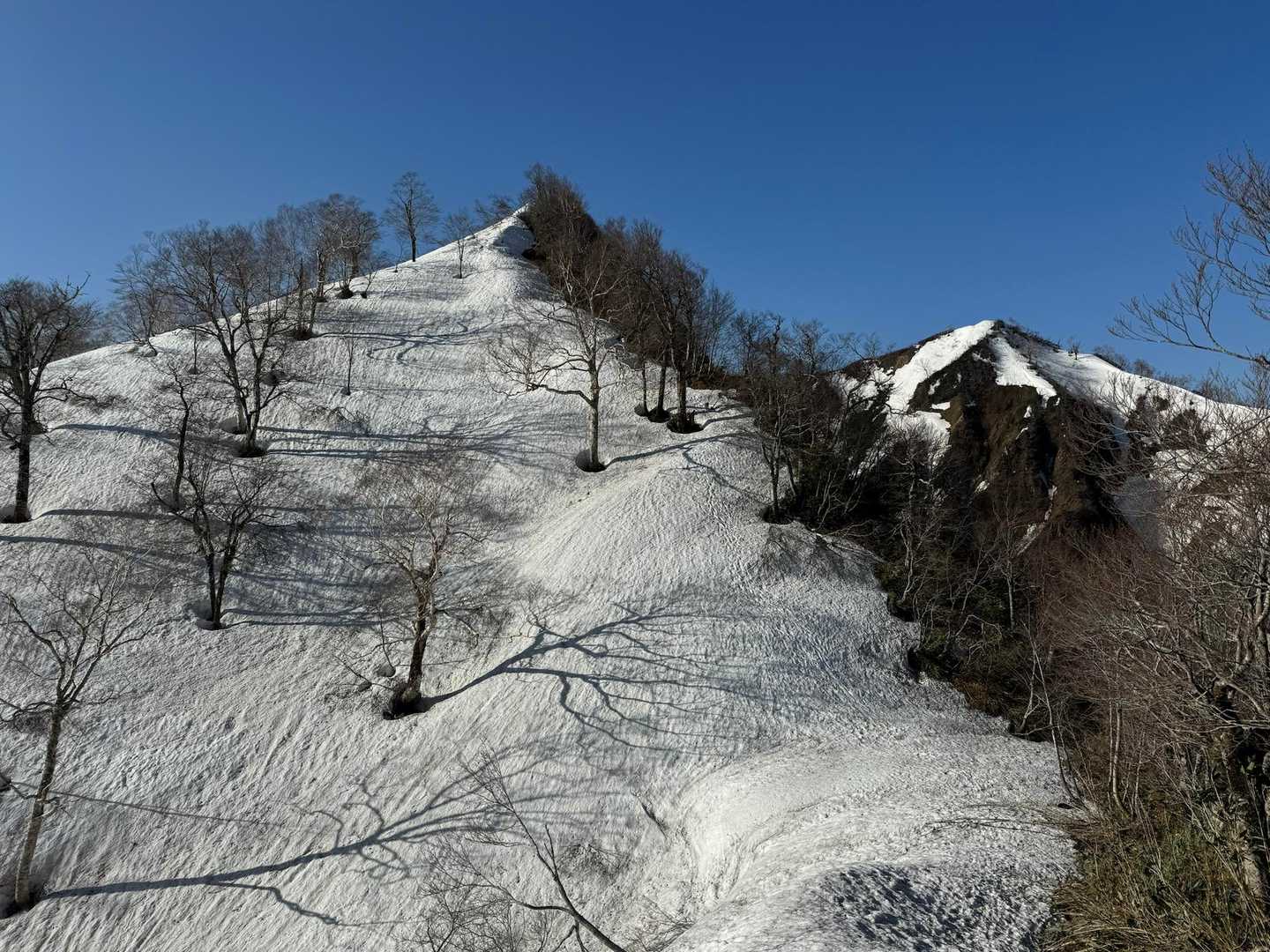 堂津岳にはないアップダウン↘︎↗︎