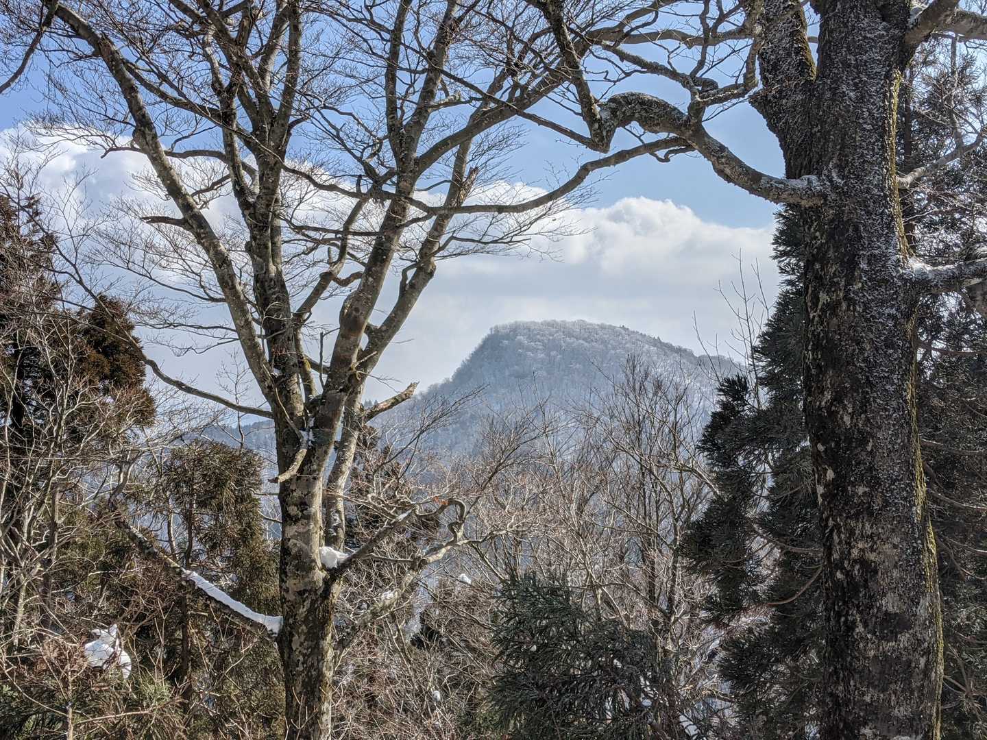 逆冠！
いいもの見た😃