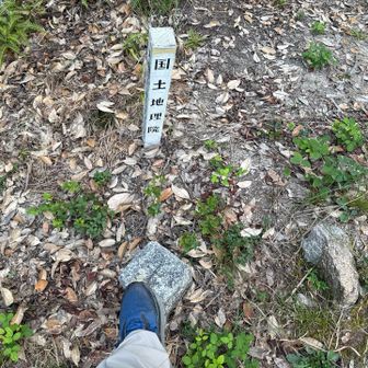 登山道に三角点。
登山道に有るのに1周目スルーしてた。😅