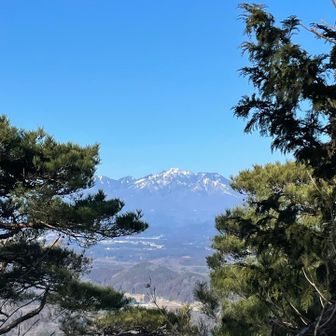 松の木が額縁のように、女峰山を囲む