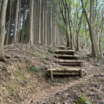 川越山へ急登。じっくり堪えれば約10分