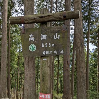 飯能アルプス！