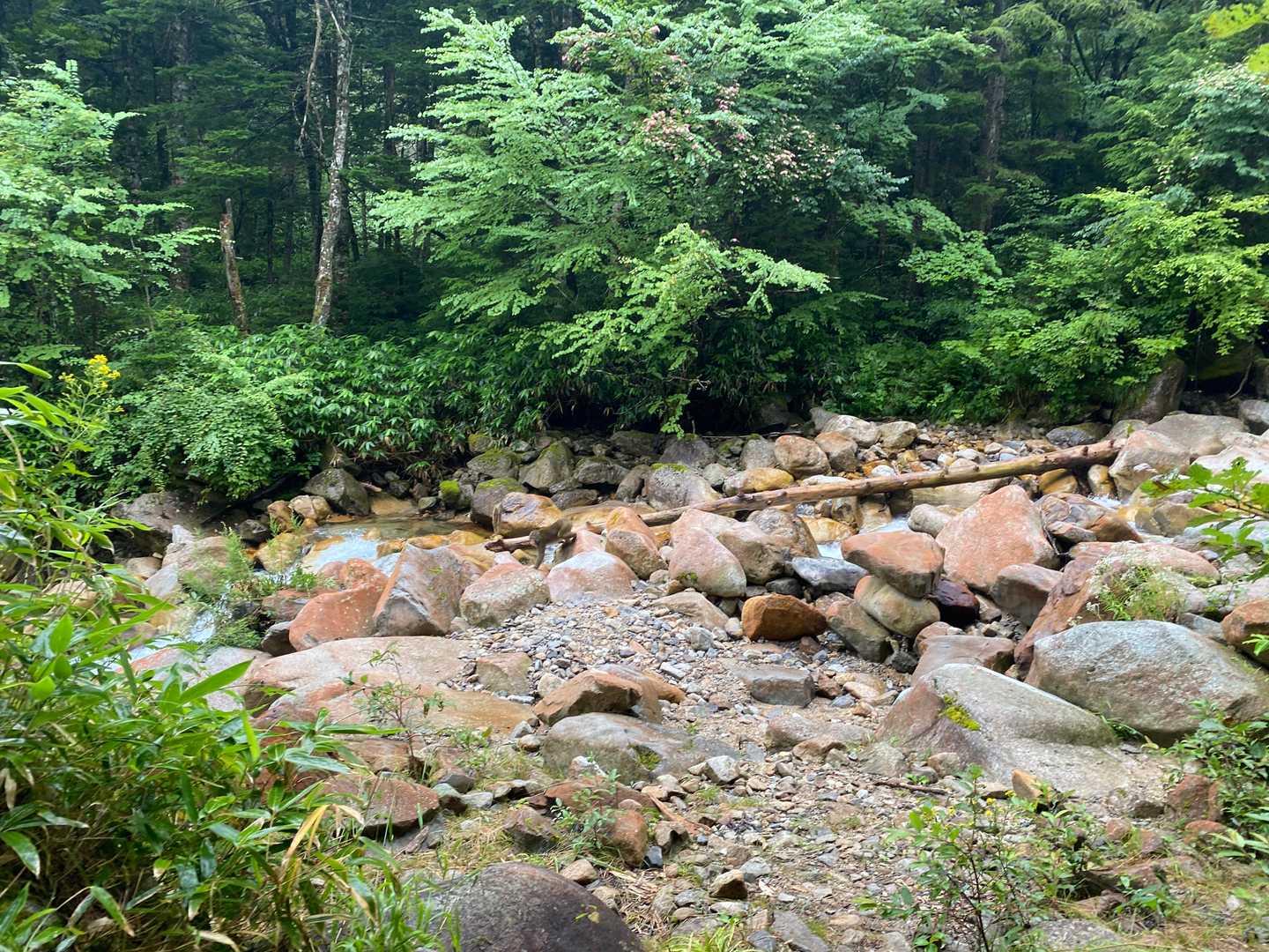 【縦走】燕→常念（中房温泉・一ノ沢）の写真