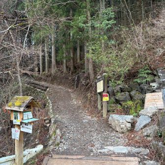 登山口