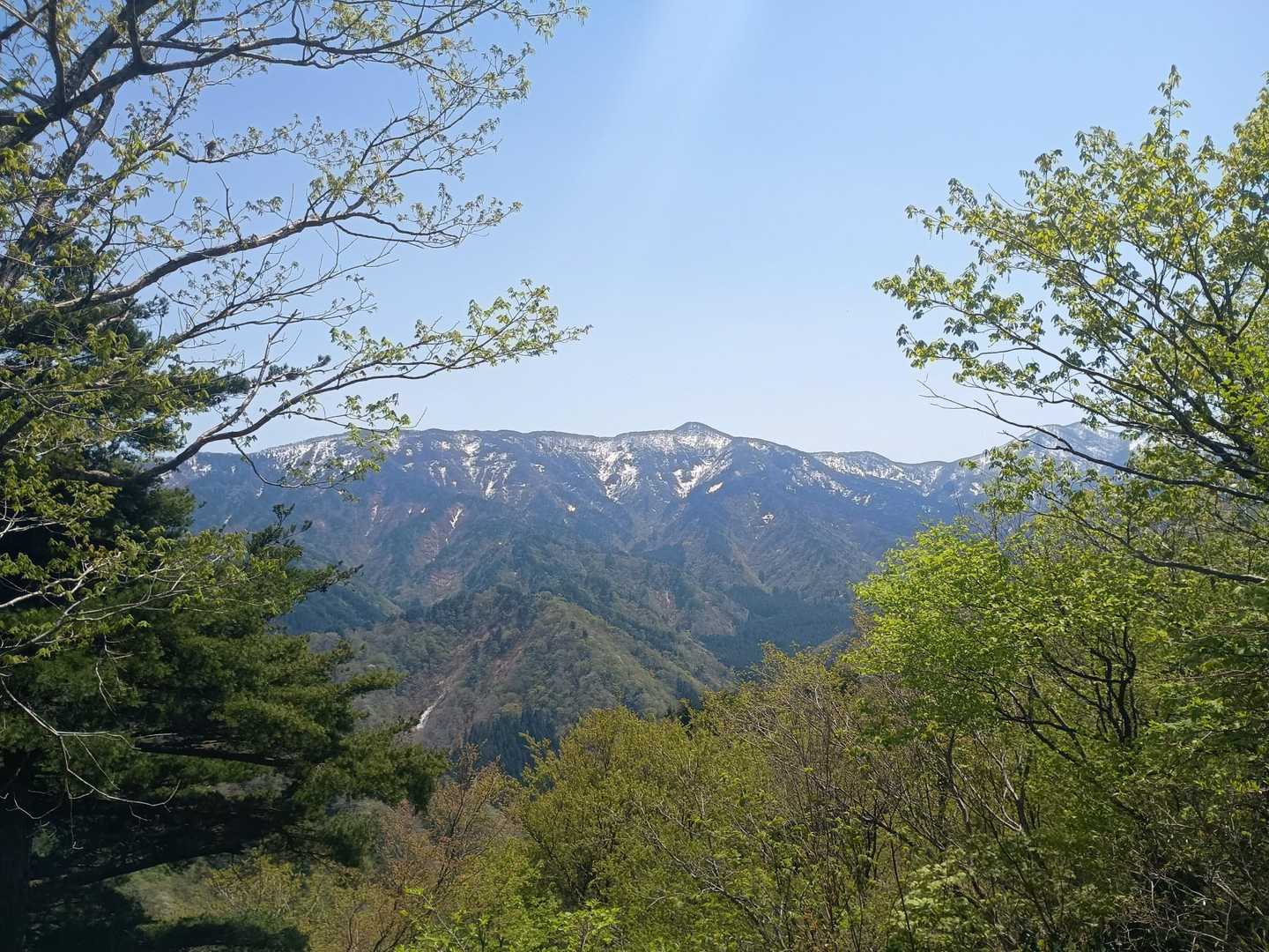 そして山！本日は雲も無く抜群の景色
