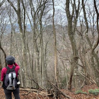 ちょっとお天気が怪しくなって来たのでさっさと下山しましょう