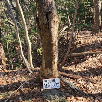 ここも、落葉でフカフカでやっと登頂
下りも危険が危なかった🤣