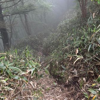 さあ、自念子ノ頭⛰️に💨