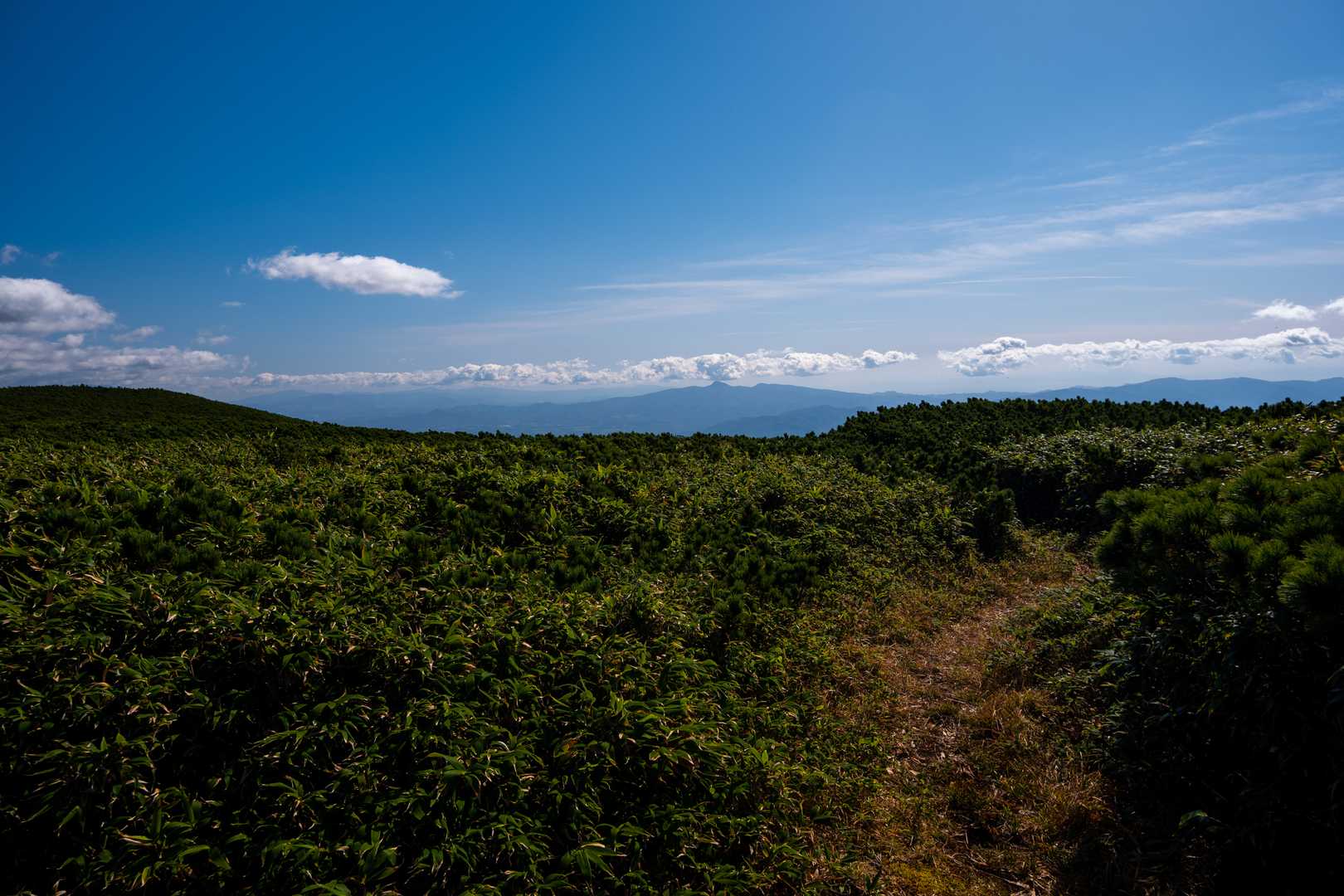 戻ります