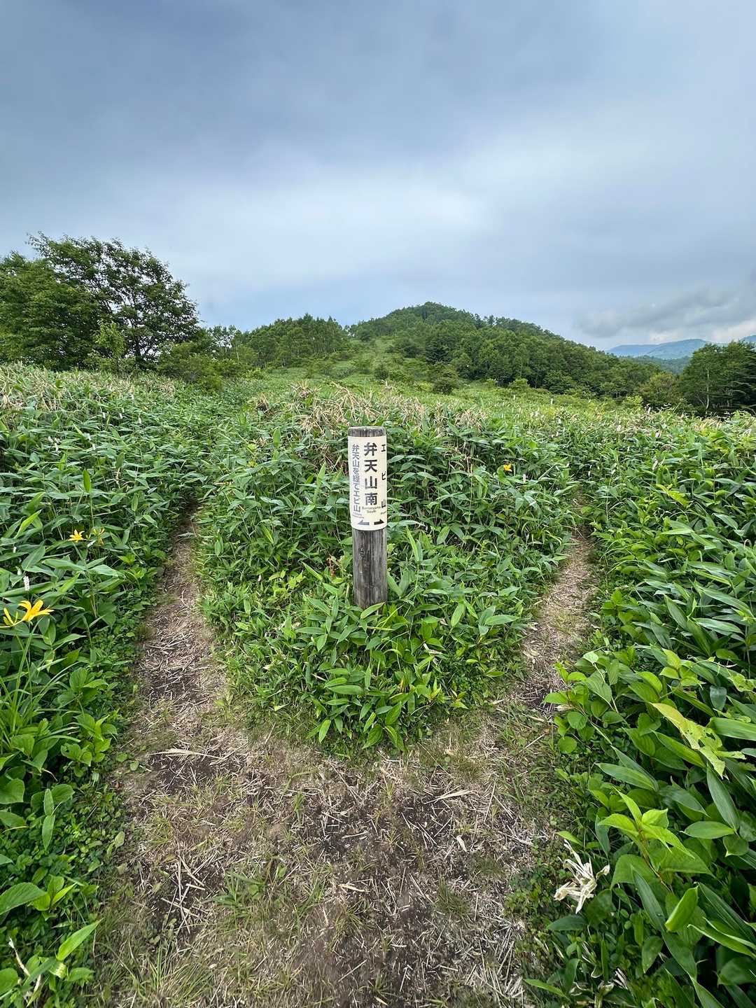 先ずは ⬅️

弁天山に向かう