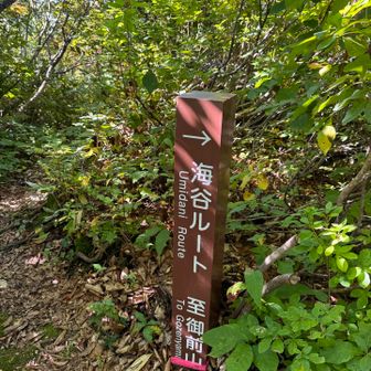 うみだにルートです。
もう少し涼しい時をおすすめします。
