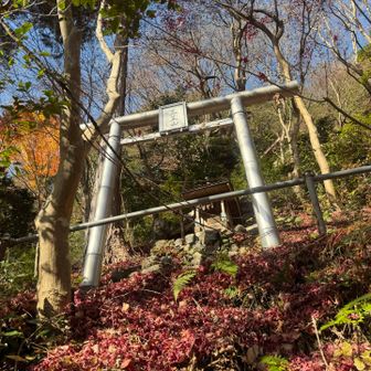 そしてココにも三笠だわ
なんか繋がりがあるのかな？