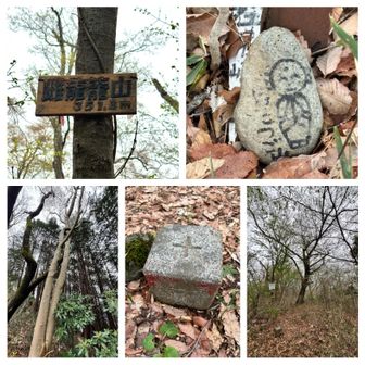 雌龍籠山⛰️到着！
登山口は分かりづらく、鬱蒼とした樹林帯（藪）を登ります💦三等三角点がありました➕