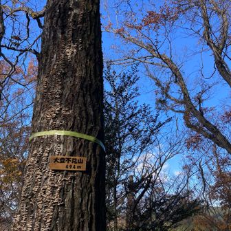 おおとみえずやま