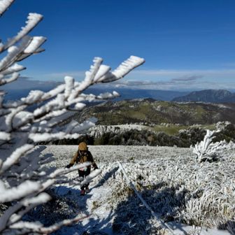 ヘロヘロ、も少し。