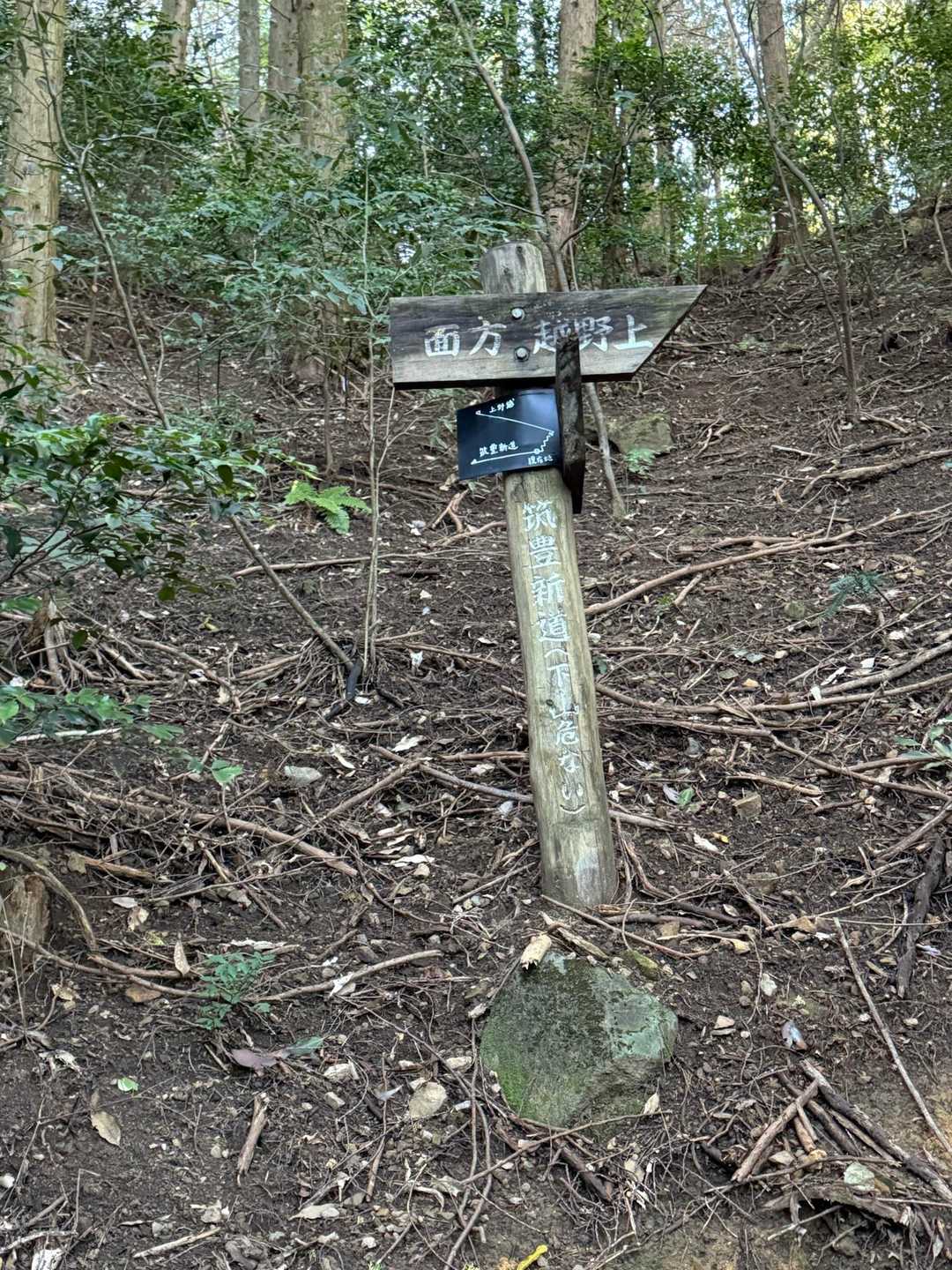 ここから…
