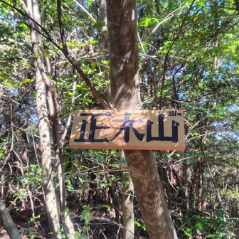 標識が新しくなってる😳