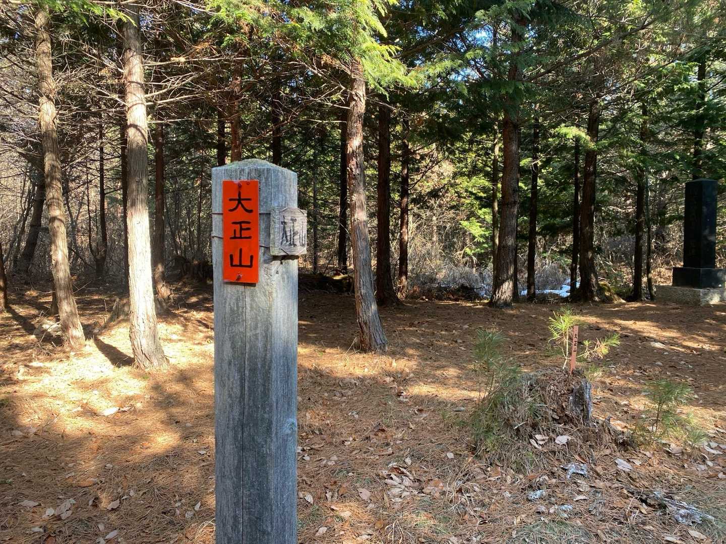 大正山山頂