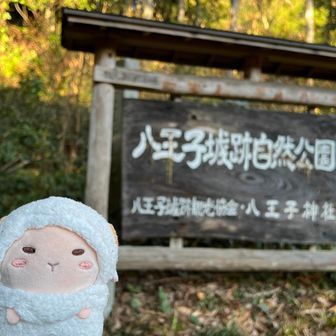 八王子城リベンジ