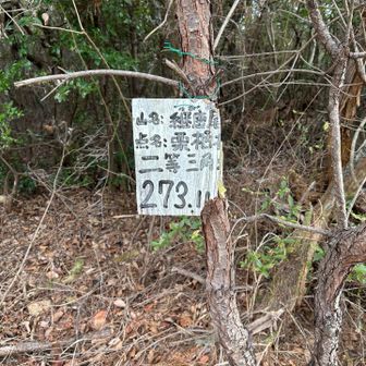 7座目
継鹿尾山