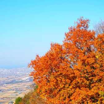 ここから展望台から見る景色