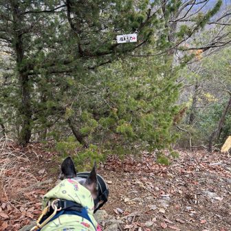 福島大池への近道
一か八かで行ってみます