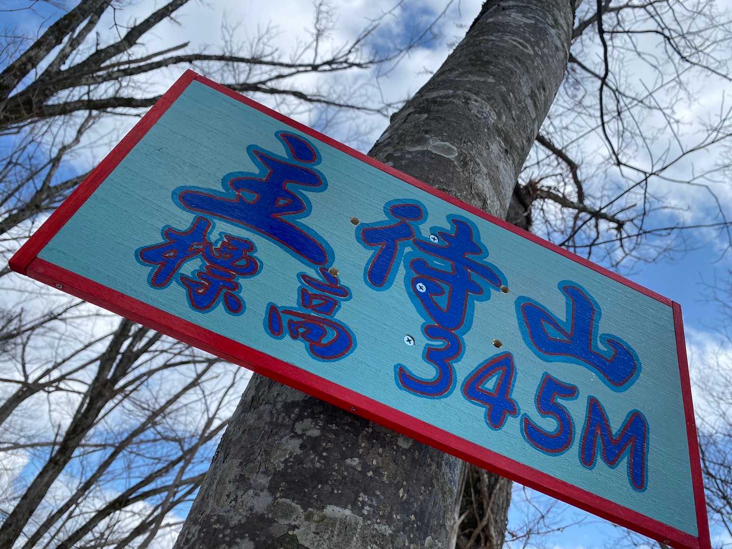 主待山の写真