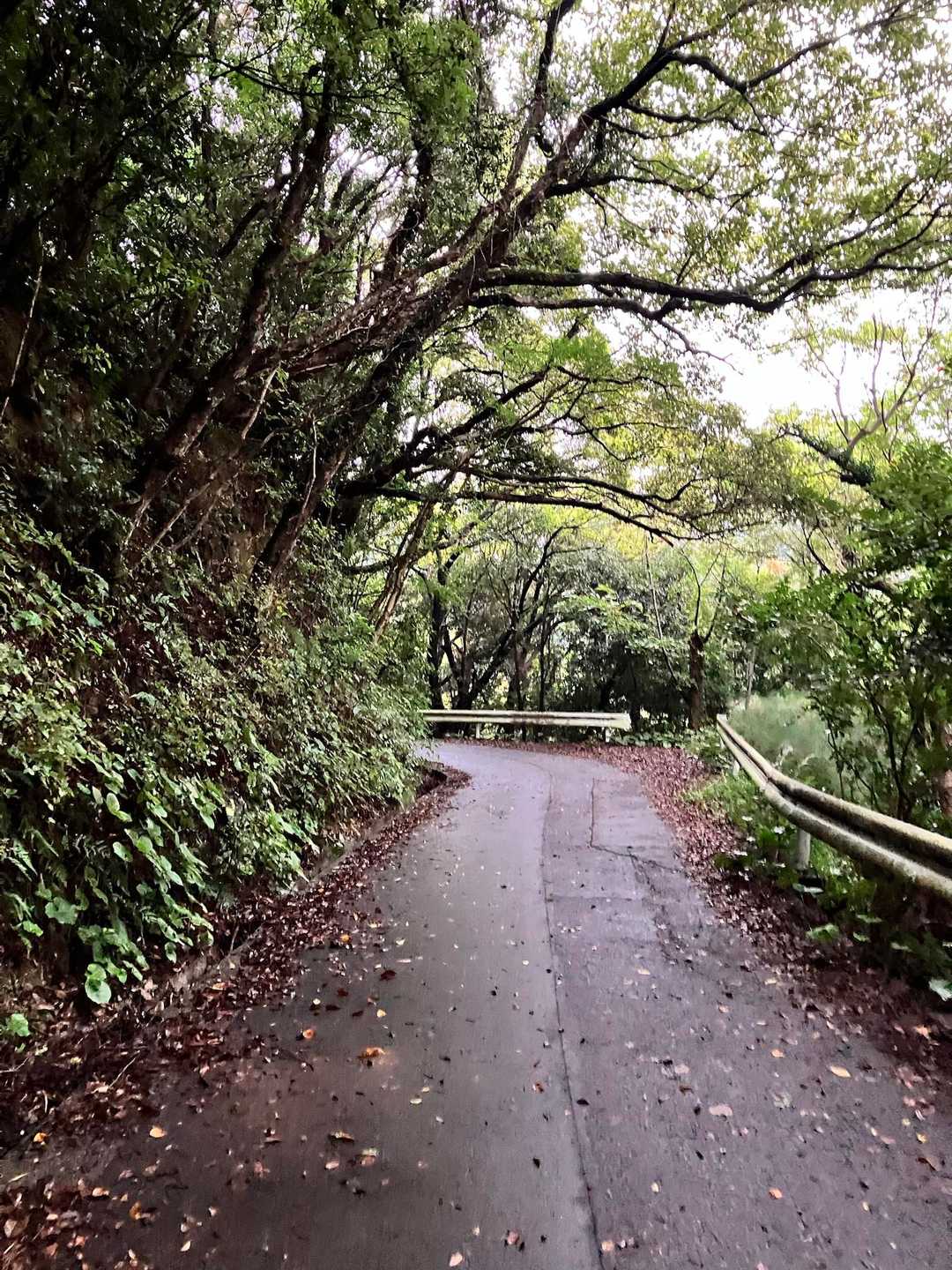 ということで調べて、近くにあった香貫山へ。

何箇所か待避所もある細い道を車でここまで上って来たくせに『曇りで日没も近いからどうする？？やめる？？』とビビる私に、ここまで来たら行こうよと長女も同行してくれることに。ありがとう😊
私1人ならもうやめてるよ…

