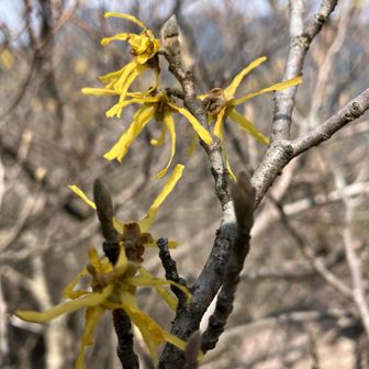 目の前に😳あるじゃありませんか