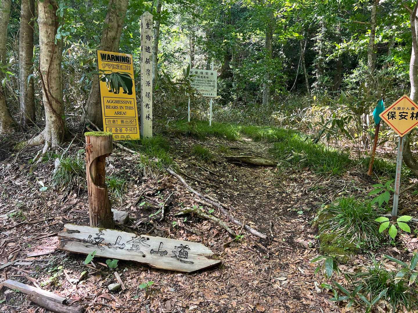 男岳ルートの登山口

こちらのルートも林道は長いです
