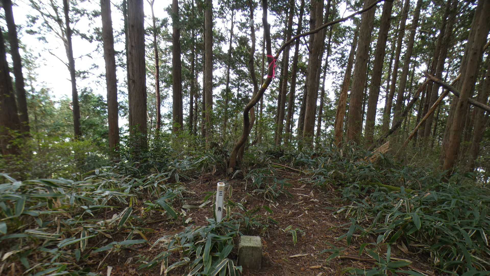 ここまで長かった、、、牛頭山東峰

三等三角点
基準点名：牛頭山（ぎゅうずやま）

ここから牛頭山（西峰）までは良い道になる。(急坂ですが）
