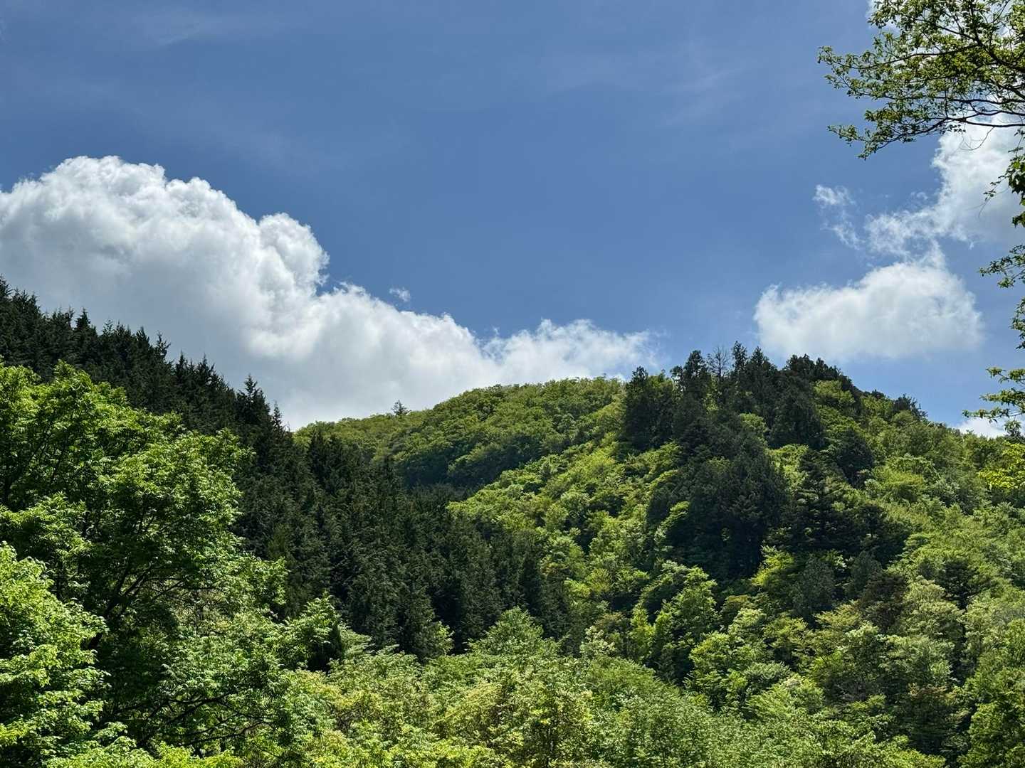 お天気最高だー　
