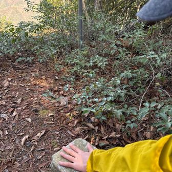 点名は山崎
三角点タッチ