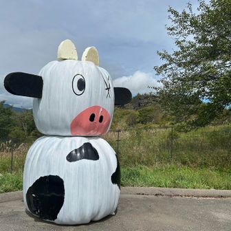 牛さん🐄の向こうが、しし岩🪨