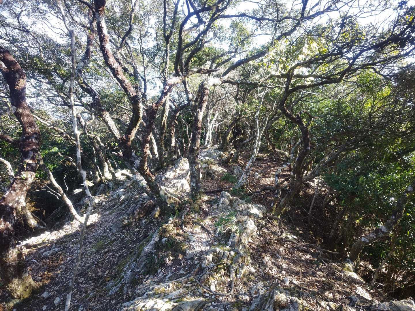 剣峠-京路山 往復コースの写真