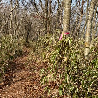 しばらく休憩し、奥瓢ヶ岳へ向かいます。