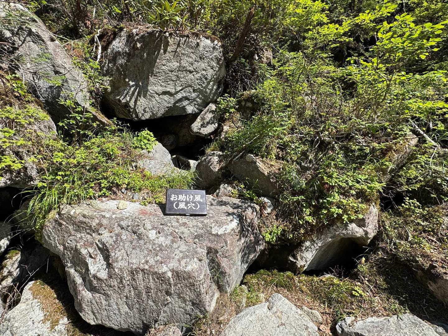 涼しい風がくると思ったら、風穴でした
ホントにお助け風でした