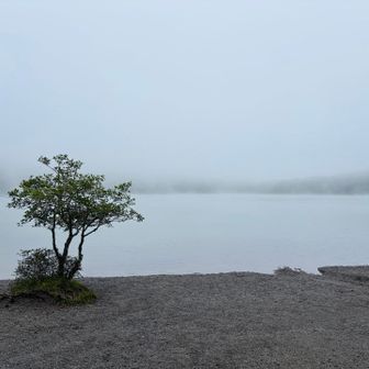 小沼